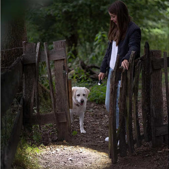 Ledlenser 502597 P3 Core LED Flashlight - 90 Lumens - Includes 1 x AAA