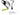 Ledlenser 502713 NEO1R Rechargeable LED Headlamp - 250 Lumens - Uses Built-in 3.7V Li-ion Battery Pack - Black and Blue - Box or Black and Gray or White and Green