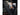 Ledlenser 502793 HF4R Work Rechargeable LED Headlamp - 500 Lumens - Uses 3.7V  3.7Wh Li-ion Battery Pack - Yellow