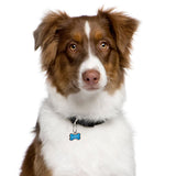 Nite Ize MicroLink Pet Tag Carabiner - 2 Pack - (TL-11-2R3)