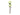 Nite Ize S-Biner MicroLock - Plastic Double-Gated Carabiner with Twisting Lock - 2 Pack - Translucent Lime (LSBPM-17T-2R3)