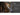 Nextorch C4 LED Flashlight - Luminus SST-20W - 700 Lumens - Includes 1 x 18650