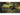 Nitecore HC60-V2 USB Rechargeable Headlamp  - Uses 1 x 18650 (Included) or 2 x CR123As