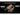 Nitecore MH25 Pro USB-C Rechargeable Ultra Long Range LED Flashlight - 3300 Lumens - NiteLab UHi 40 - Includes 1 x 21700