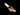 Nitecore White Wand - 1.57 Inches x 4.06 Inches - Works with MH25, EA4 & P25
