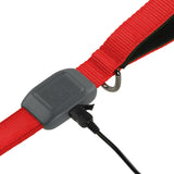Nite Ize NiteDog Rechargeable LED Leash - Various Colors