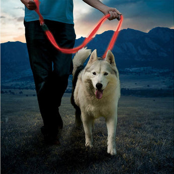 Nite Ize NiteDog Rechargeable LED Leash - Various Colors