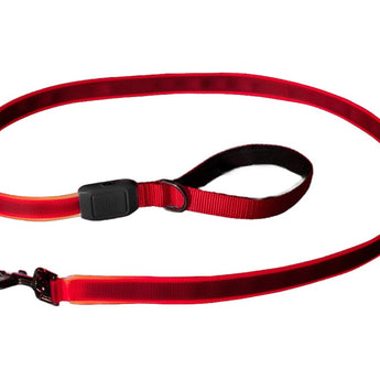 Nite Ize NiteDog Rechargeable LED Leash - Various Colors