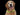 Nite Ize NiteHowl LED Safety Necklace for Pets - Cut to Fit 12 to 27-Inch - Orange, Blue, Red, Tie Dye Pink, or Green - L1154 Batteries Included