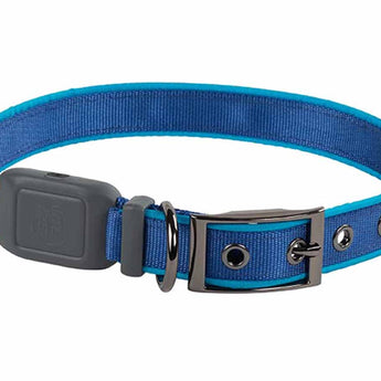 Nite Ize NiteDog Rechargeable LED Collar - L - Blue with Blue LED