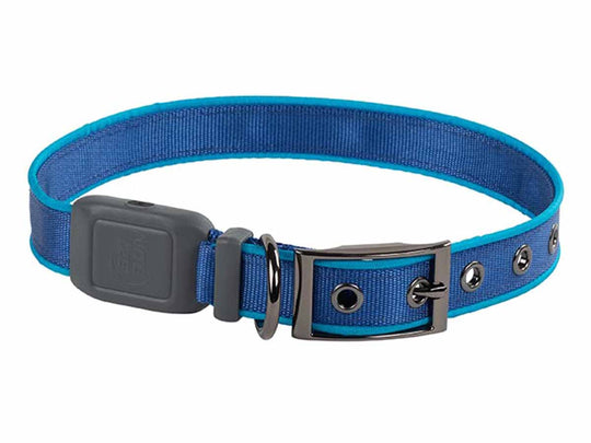 Nite Ize NiteDog Rechargeable LED Collar - XL - Blue with Blue LED
