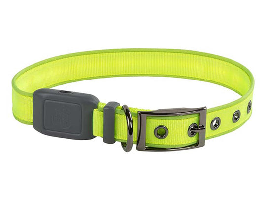 Nite Ize NiteDog Rechargeable LED Collar - S - Lime with Green LED