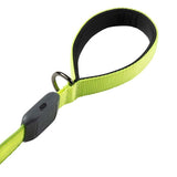 Nite Ize NiteDog Rechargeable LED Leash - Various Colors
