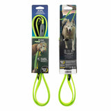 Nite Ize NiteDog Rechargeable LED Leash - Various Colors