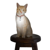 Nite Ize PetLit LED Collar Light with Carabiner Clip - White LED - Includes 1 x CR927 - Jewel Crystal (PCL02-03-02JE)