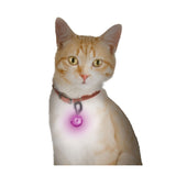 Nite Ize PetLit LED Collar Light with Carabiner Clip - White LED - Includes 1 x CR927 - Jewel Pink (PCL02-03-12JE)