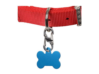 Nite Ize S-Biner TagLock - Stainless Steel Double-Gated Carabiner with Twisting Lock - Stainless (PLSBM-11-R3)