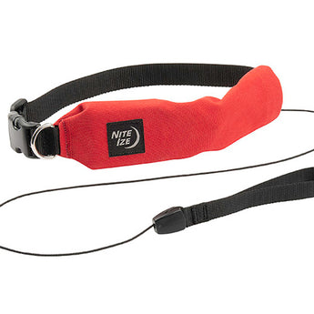 Nite Ize RadDog All-In-One Collar and Leash - Small - Blue