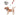 NiteIze RadDog Retractable Pocket Leash - Large or Small