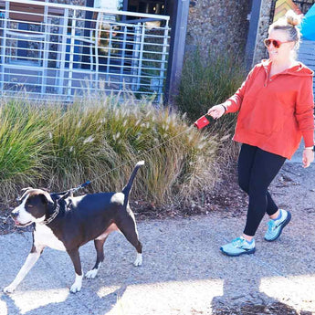 NiteIze RadDog Retractable Pocket Leash - Large or Small