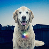 Nite Ize Spotlit LED Collar Light