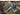 Olight Chital Mini Folding Knife - G10 Handle - D2 Blade - Black