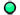 Olight Flashlight Filter Green