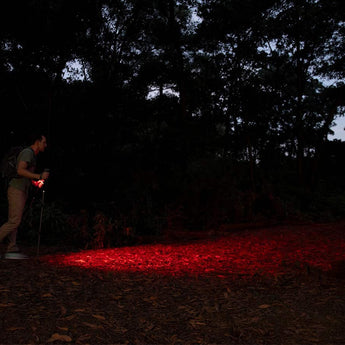 Olight Oclip Pro USB-C Rechargeable LED Cliplight - 300 Lumens - Uses Built-in 580mAh Li-ion Battery Pack - Multiple Color Options