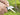 Olight Otacle UI Folding Knife - Carbon Fiber