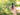 Olight Otacle UI Folding Knife - Carbon Fiber