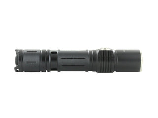 Fitorch P20RGT - Side View