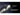 Nitecore P23i USB-C Rechargeable Tactical LED Flashlight - 3000 Lumens - Luminus SFT-70 - Includes 1 x 21700