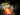 Princeton Tec Remix Pro MPLS Headlamp - Red, Blue, IR and White LED - 150 Lumens - Includes 1 x CR123A - Black