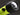 Princeton Tec Torrent Flashlight - Maxbright LED - 330 Lumens - Class I Div 2 - Includes 8 x AAs - Black