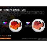 Acebeam Rider RX Ti 2.0 EDC LED Flashlight - 700 Lumens - NICHIA 519A V1 - Includes 1 x USB-C Rechargeable 14500 - Titanium - Silver or Special Edition Design