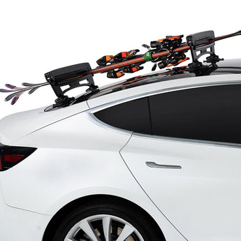 SeaSucker SK2420 Classic Ski Rack