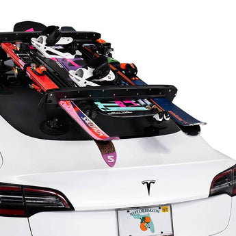 SeaSucker SK2420 Classic Ski Rack