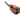 SOG Fixed Blade Field Knife - 4 Inch Straight Edge - Clip Point - Blister - Satin - Black