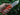 SOG Tellus FLK Folding Knife - Olive Drab, Wolf Gray, or Blaze