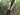 Ultimate Survival Technologies SlothCloth Camping Parachute / Tree Hammock 1.0 - Fits 1 Person - Orange and Gray (20-12163)