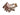UST Learn and Live Cards - Animal Tracking - Main Image