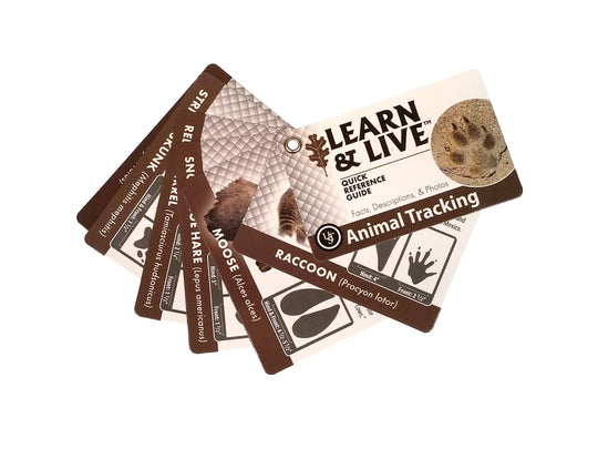 UST Learn and Live Cards - Animal Tracking - Main Image