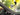 Nite Ize Steelie Windshield Kit Plus - (STWSKP2-01-R8)